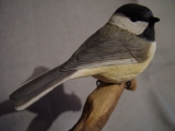 Perching Chicadee Finished